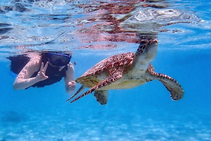 Miyakojima Sea Turtle Snorkel: High-Encounter Reef Tour in Okinawa photo 5