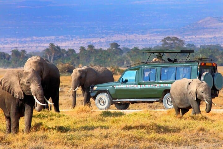 6-Day Kenya Safari: Giraffe Centre, Lake Naivasha, Hell's Gate & Masai Mara photo 2