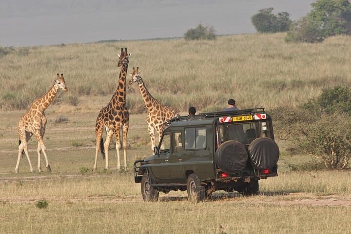 Kenya Flying Safari: 8-Day Samburu, Masai Mara & Amboseli Lodge Adventure photo 6