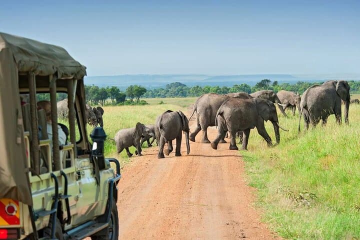 3-Day Tsavo West Safari: Madaraka Jeep Adventure to Mzima Springs & Man-Eaters Country photo 2