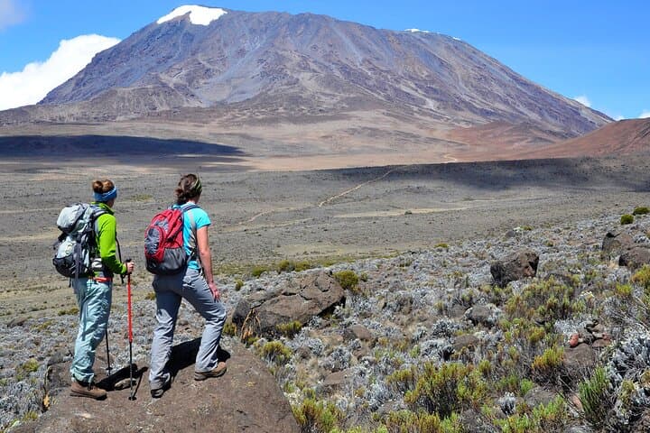 One-Day Marangu Hike to Mandara Hut on Mount Kilimanjaro