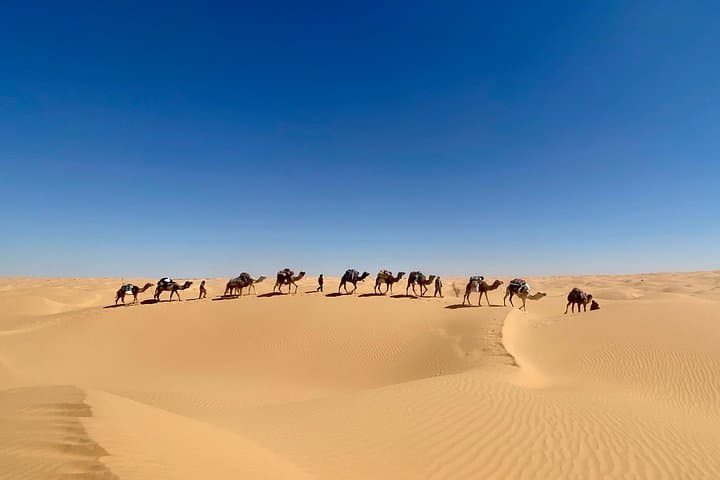 7-Day Sahara Camel Trek from Djerba to Douz — Desert Camping & Bedouin Evenings photo 1