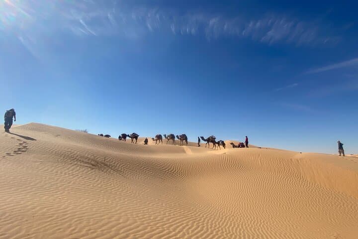 7-Day Sahara Camel Trek from Djerba to Douz — Desert Camping & Bedouin Evenings photo 3