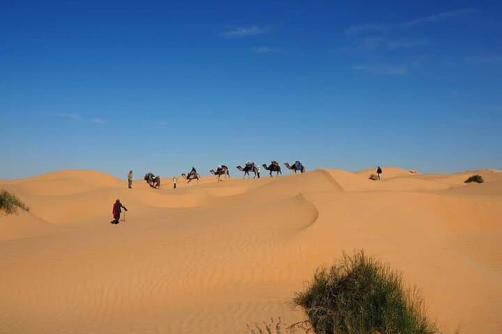 7-Day Sahara Camel Trek from Djerba to Douz — Desert Camping & Bedouin Evenings photo 4