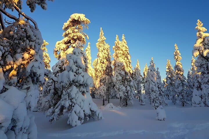 Snowshoe Hike in Rovaniemi: Lapland Winter Wilderness Experience photo 2