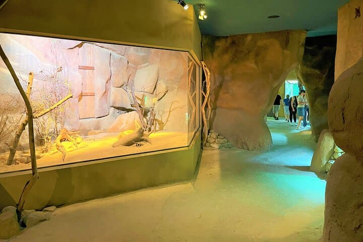 Prague Zoo Ticket with Online Audio Guide — Self-Guided Visit to Troja Zoo photo 6