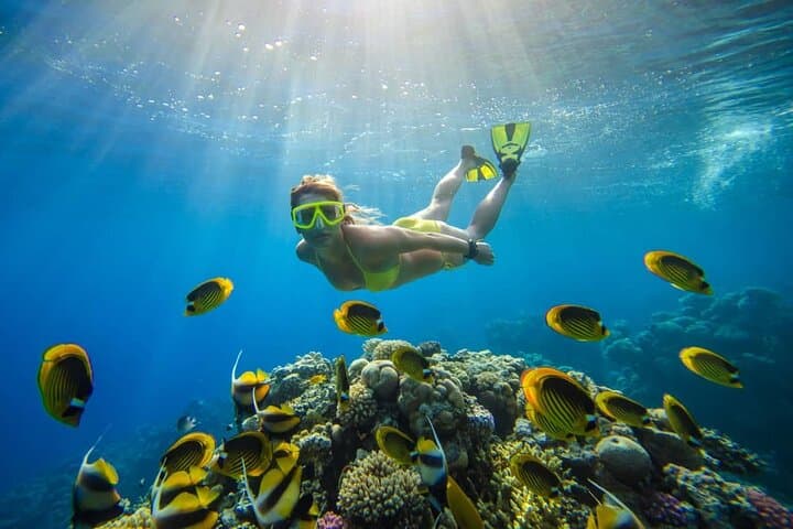 Sharm El Sheikh Snorkeling: Ras Mohamed & White Island Day Cruise Guide photo 3