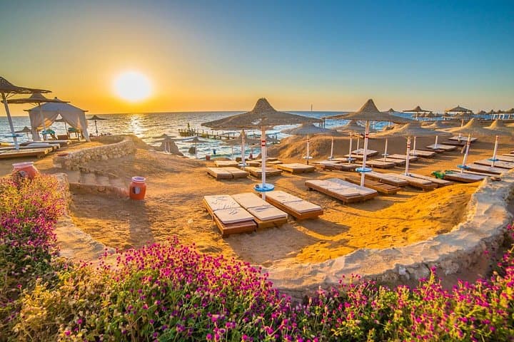 Private 5-Hour Beach and Snorkel in Sharm El Sheikh — Red Sea Reefs & Relaxation photo 3