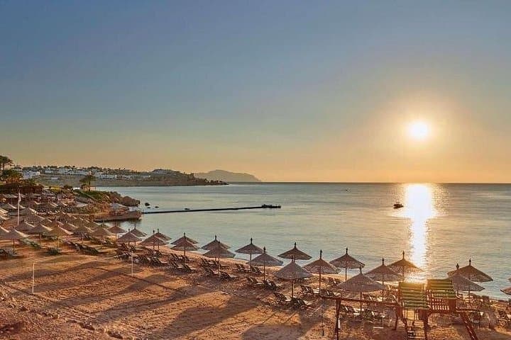 Private 5-Hour Beach and Snorkel in Sharm El Sheikh — Red Sea Reefs & Relaxation photo 4