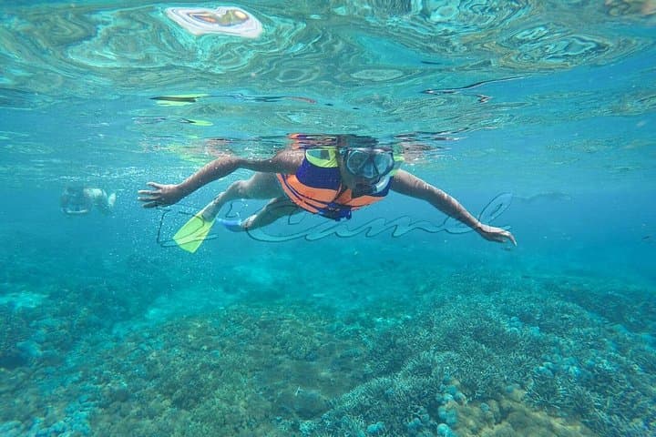 Snorkel with Manta Rays at Nusa Lembongan: Day Trip from Bali photo 4