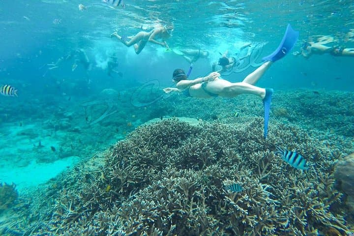 Snorkel with Manta Rays at Nusa Lembongan: Day Trip from Bali photo 5