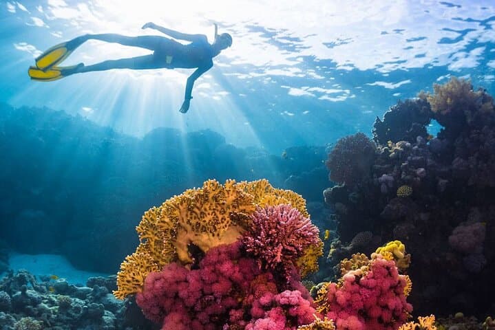 Giftun Island Snorkel Cruise from Hurghada: Coral Reefs & Beach Relaxation photo 4