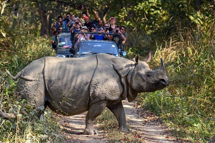 8-Day Nepal Highlights: Kathmandu, Chitwan & Pokhara with 4-Star Comfort photo 2
