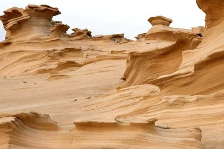 Al Wathba Fossil Dunes & Long Salt Lake Day Tour — Abu Dhabi photo 4