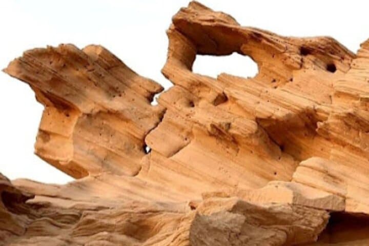 Al Wathba Fossil Dunes & Long Salt Lake Day Tour — Abu Dhabi photo 2
