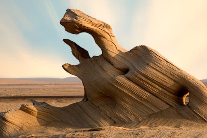 Al Wathba Fossil Dunes & Long Salt Lake Day Tour — Abu Dhabi