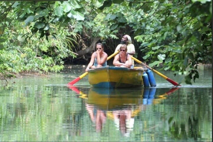 Dominica Indian River Discovery & Mero Black Sand Beach — Canoe Tour from Roseau photo 1