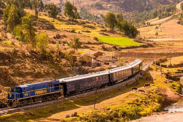 One-Day Machu Picchu from Cusco: Train to the Lost City photo 2
