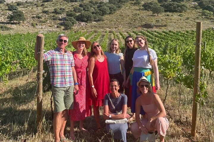 Explore Antequera Dolmens & Vineyard: UNESCO Megaliths & Machuca Wine Tasting