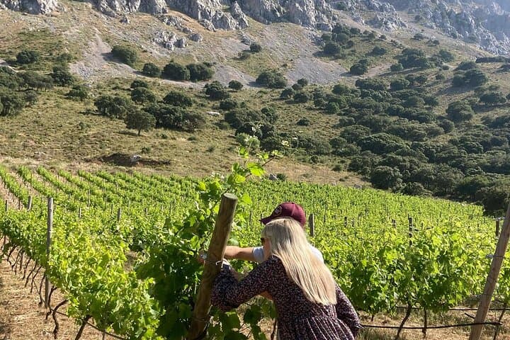 Explore Antequera Dolmens & Vineyard: UNESCO Megaliths & Machuca Wine Tasting photo 6