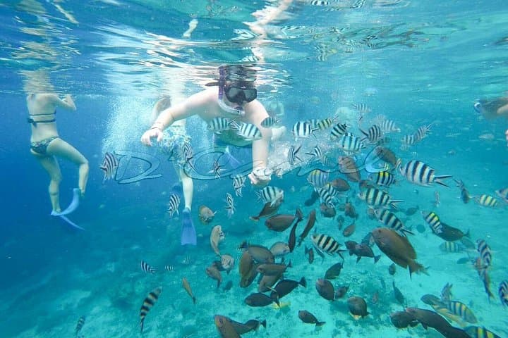 Swim with Manta Rays at Nusa Penida: Manta Bay, Gamat & Crystal Bay Snorkel Trip photo 2