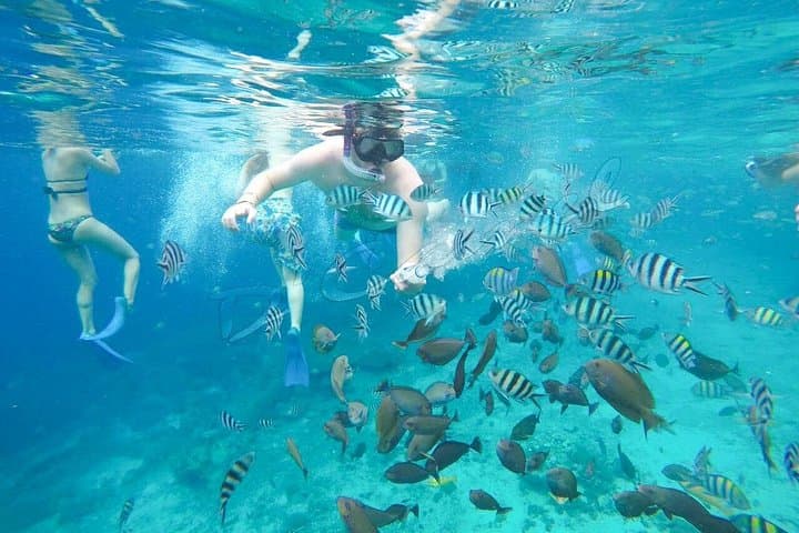 Swim with Manta Rays at Nusa Penida: Manta Bay, Gamat & Crystal Bay Snorkel Trip photo 4