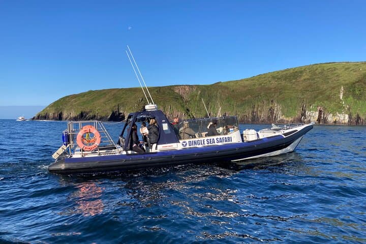Private Family Sea Safari: Dingle RIB Adventure to the Blasket Islands