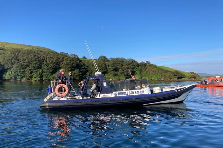 Private Family Sea Safari: Dingle RIB Adventure to the Blasket Islands photo 2