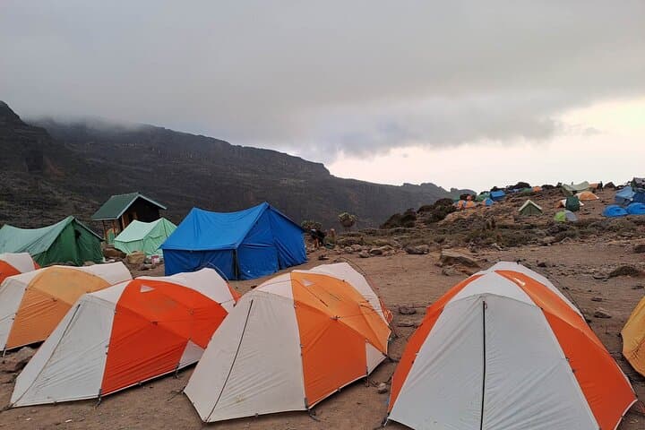 7-Day Machame Route Kilimanjaro Climb — Complete Guide & Practical Tips photo 4