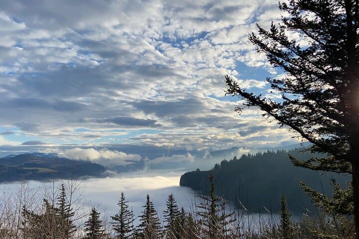 Columbia Gorge Scenic Bikeway: Full-Day Ride from Portland photo 2