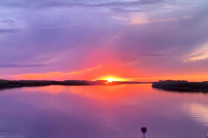 Folly Beach Private Sunset Dolphin Cruise — Charleston Dolphin Watching at Golden Hour photo 5