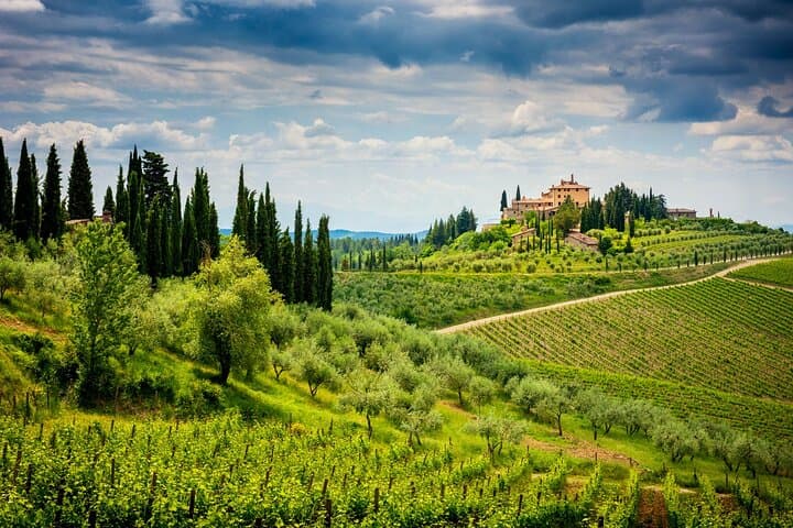 Private Chianti Classico Wine Tour from Florence: Taste Tuscany in a Day
