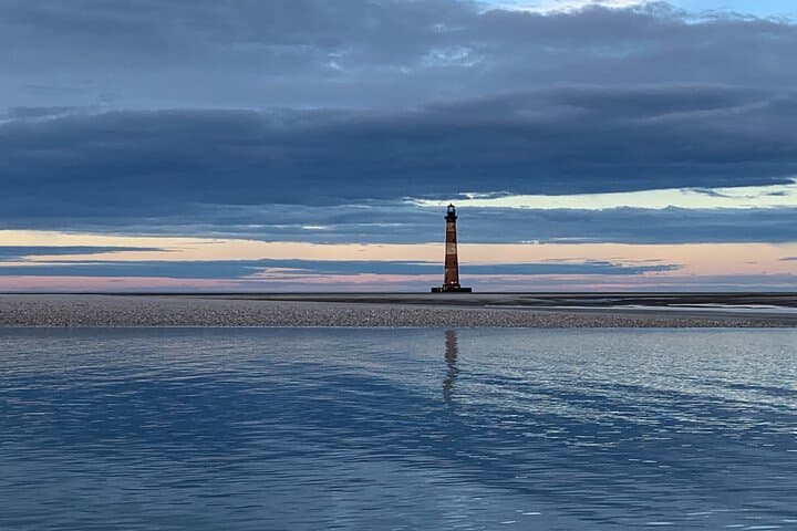 Private Morris Island Excursion from Folly Beach — Dolphin Watching & Shark Tooth Hunting photo 2
