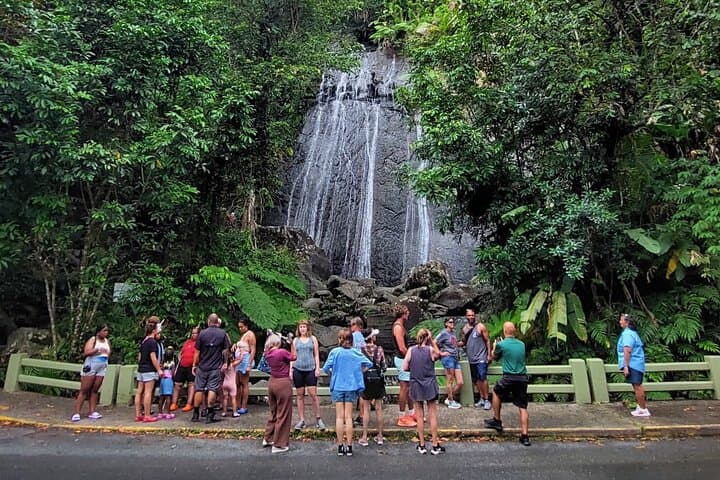 Half-Day El Yunque Rainforest Tour from San Juan — Waterfalls, Tower Views & River Swim