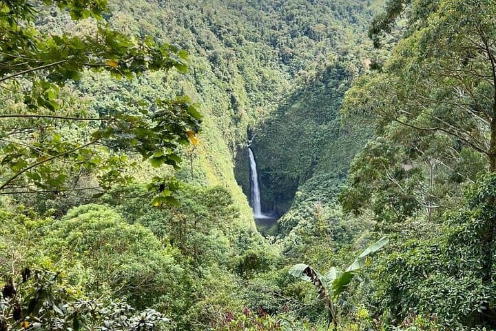 Poás Volcano Tour & Birdwatching — Day Trip from San José photo 4