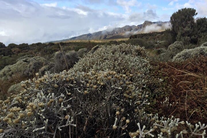5-Day Marangu Route: Hut-to-Hut Kilimanjaro Climb from Moshi photo 2