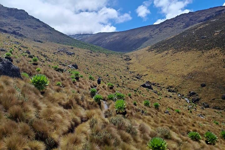 Marangu Route: 6-Day Kilimanjaro Climb from Moshi photo 2
