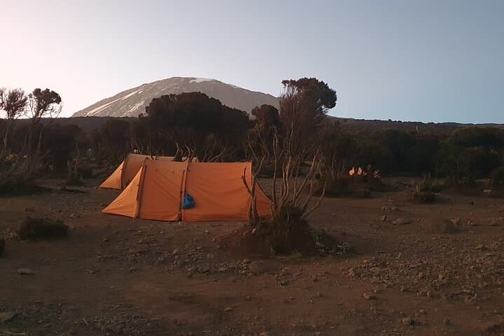 Marangu Route: 6-Day Kilimanjaro Climb from Moshi photo 3