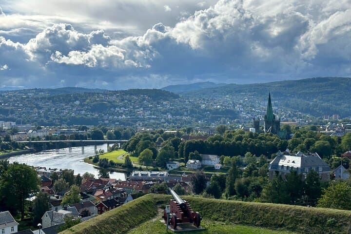 Half-Day Highlights of Trondheim: Bus Tour and Historic City Walk