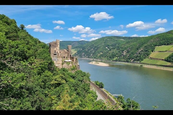 Rhein Castles & Wine Tasting Day Trip from Frankfurt photo 4