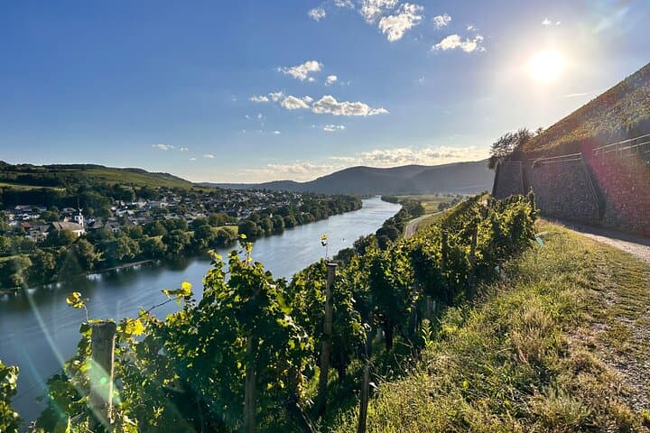 Rhein Castles & Wine Tasting Day Trip from Frankfurt photo 5