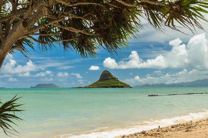 Oahu Unveiled: Private Circle-Island Luxury Tour — Dole, North Shore & Secret Beaches photo 2