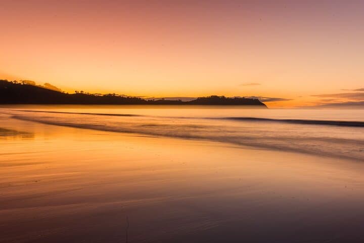 Waiheke Island Sunset Wine Tour: 3.5-Hour Vineyard & Dinner Experience
