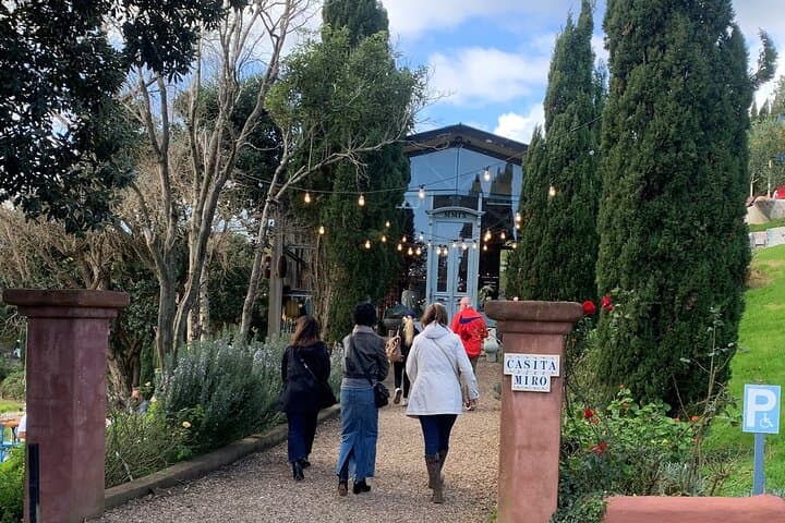 Waiheke Island Sunset Wine Tour: 3.5-Hour Vineyard & Dinner Experience photo 6