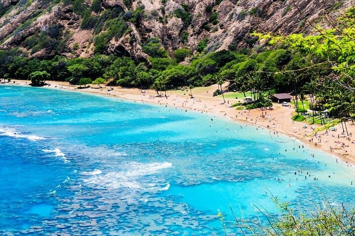 Private Oahu Custom Tour: Beaches, North Shore Shrimp Trucks & Turtle Watching