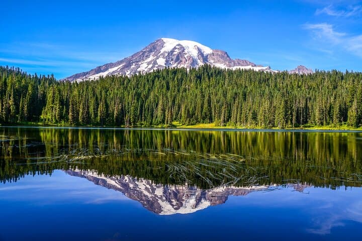 Private Mount Rainier Day Tour from Seattle — Waterfalls, Paradise & Reflection Lake photo 5