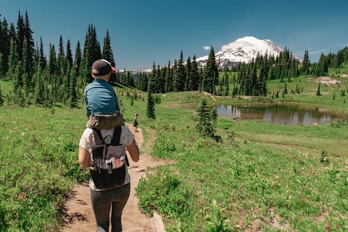 Private Mount Rainier Day Tour from Seattle — Waterfalls, Paradise & Reflection Lake photo 6