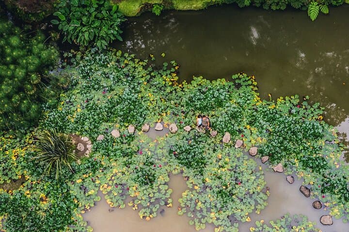 Furnas & Terra Nostra: Biologist-Guided Botanic Tour, Cozido Lunch & Thermal Baths