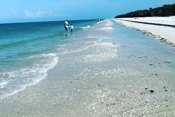 Keewaydin Island Shelling: Half-Day Private Beach Adventure from Naples