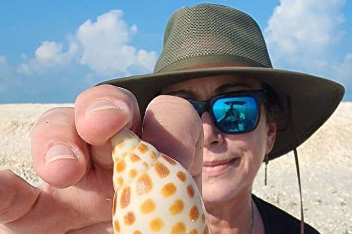 Keewaydin Island Shelling: Half-Day Private Beach Adventure from Naples photo 6